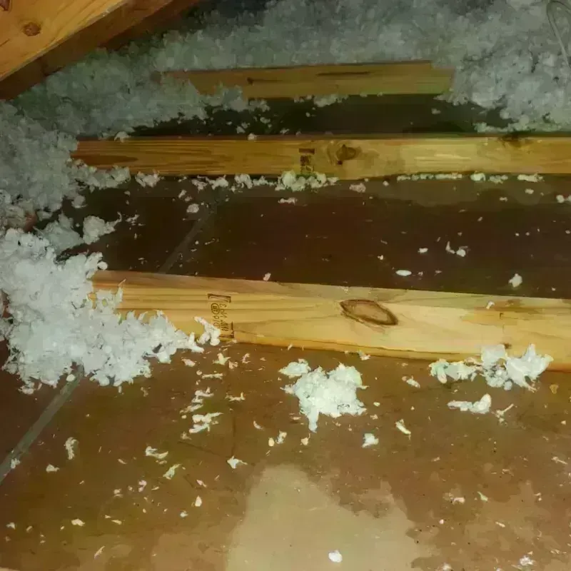 Attic Water Damage in Gilman, IL